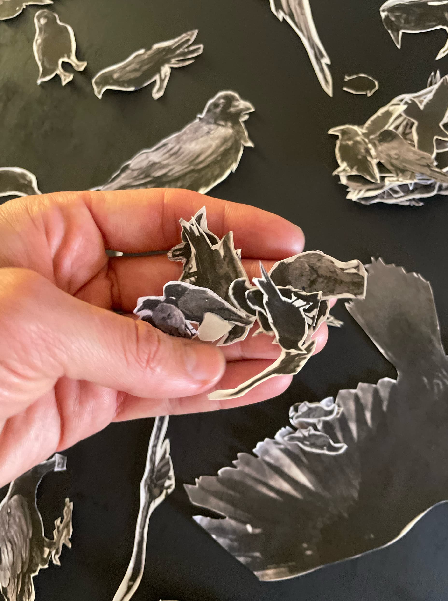 Corvus (Collage) 007