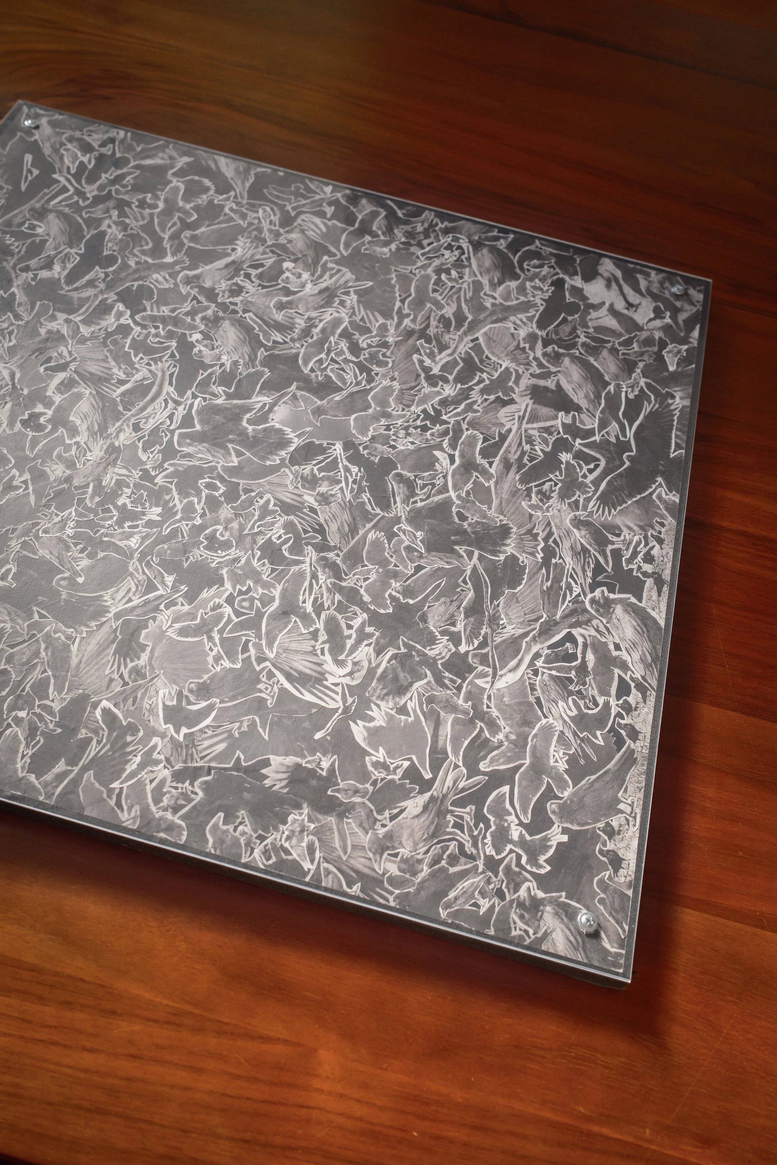 Corvus (Collage) 002