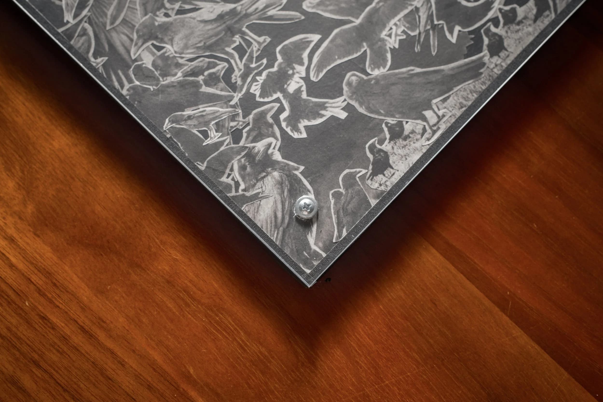 Corvus (Collage) 003