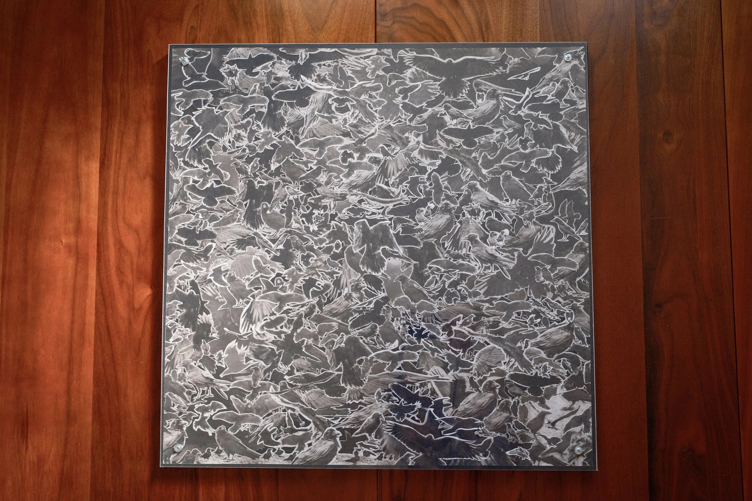 Corvus (Collage) 006