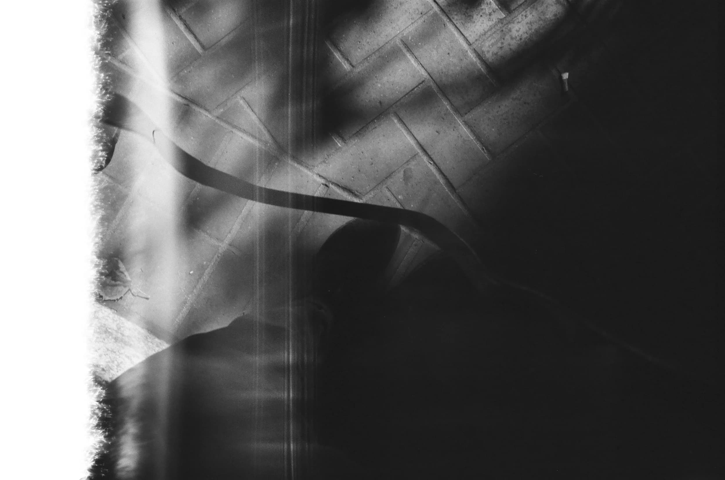 Leica SF: One Roll 001