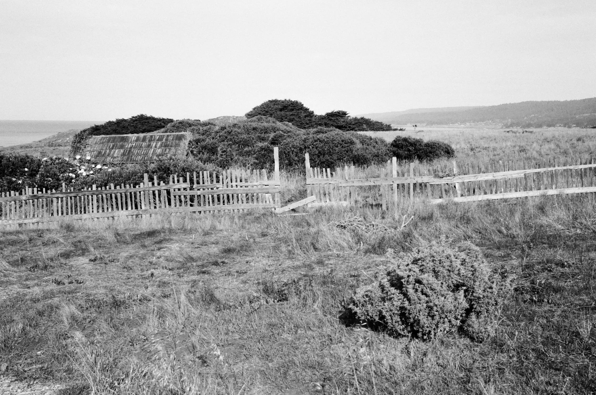 Leica SF: One Roll 014