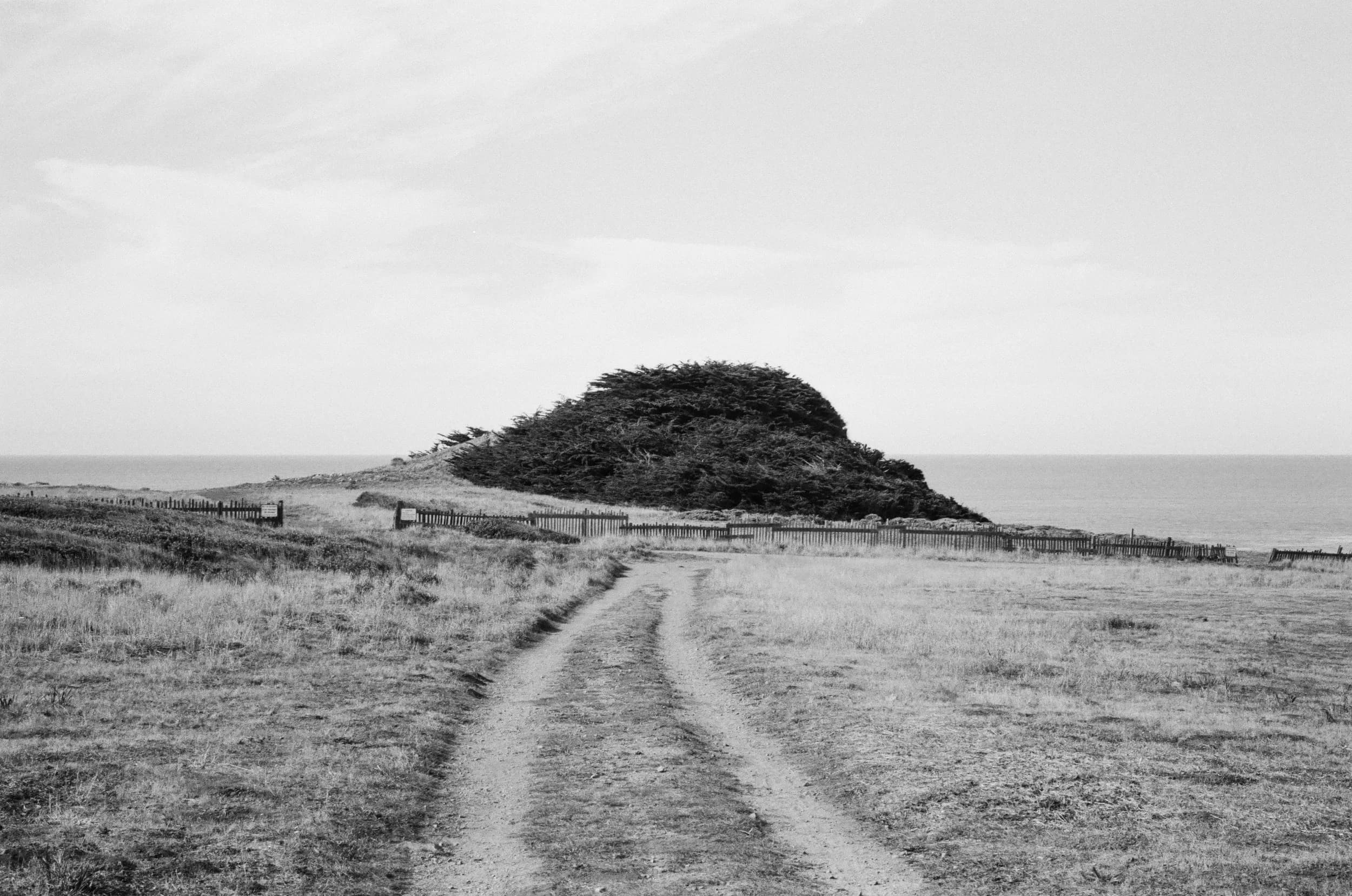 Leica SF: One Roll 017