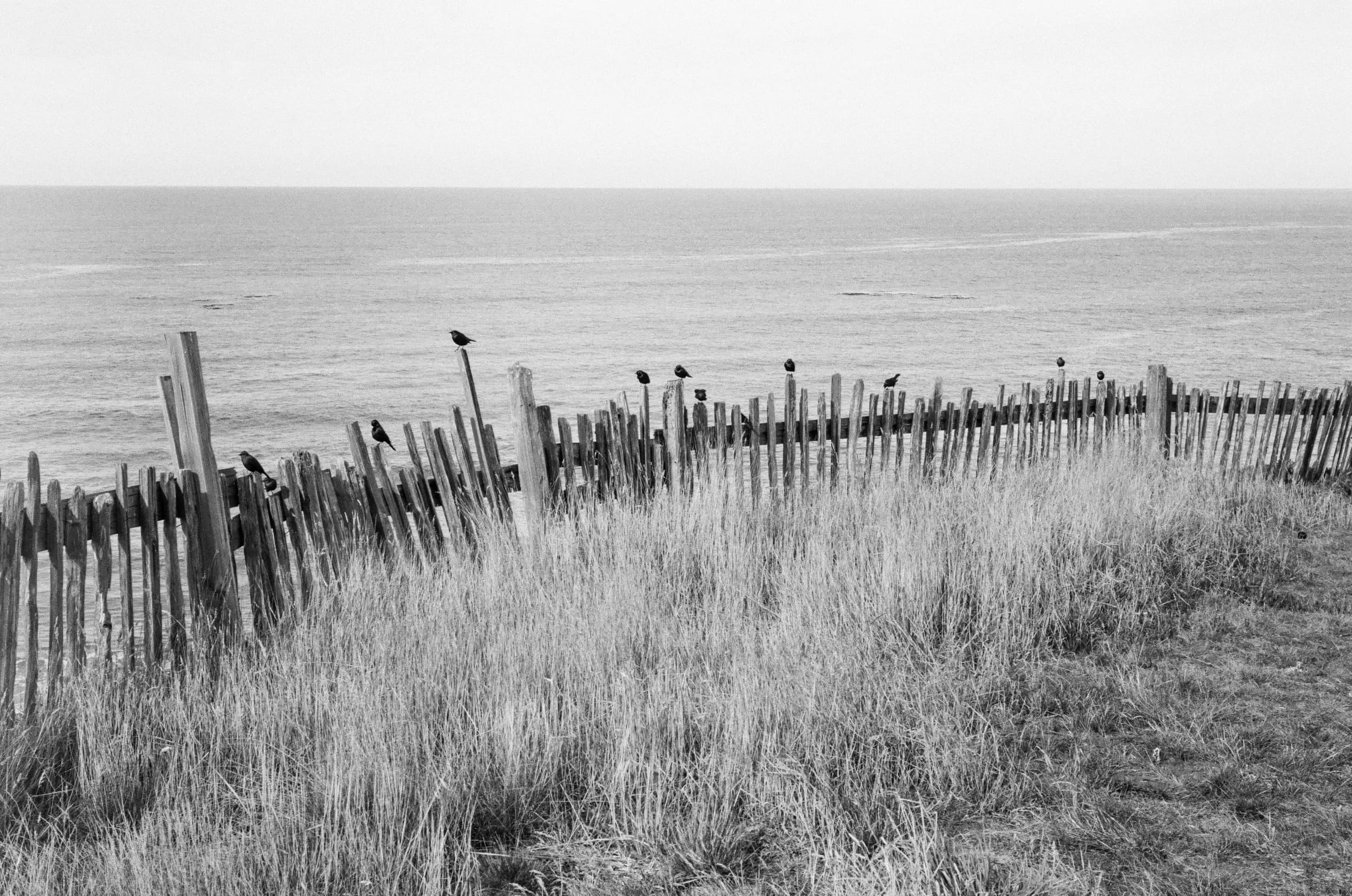 Leica SF: One Roll 018