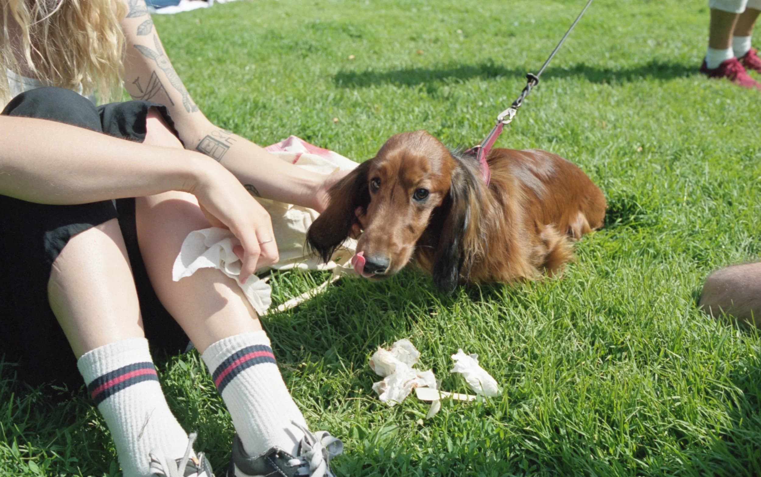 Sommar saga / summer story 005