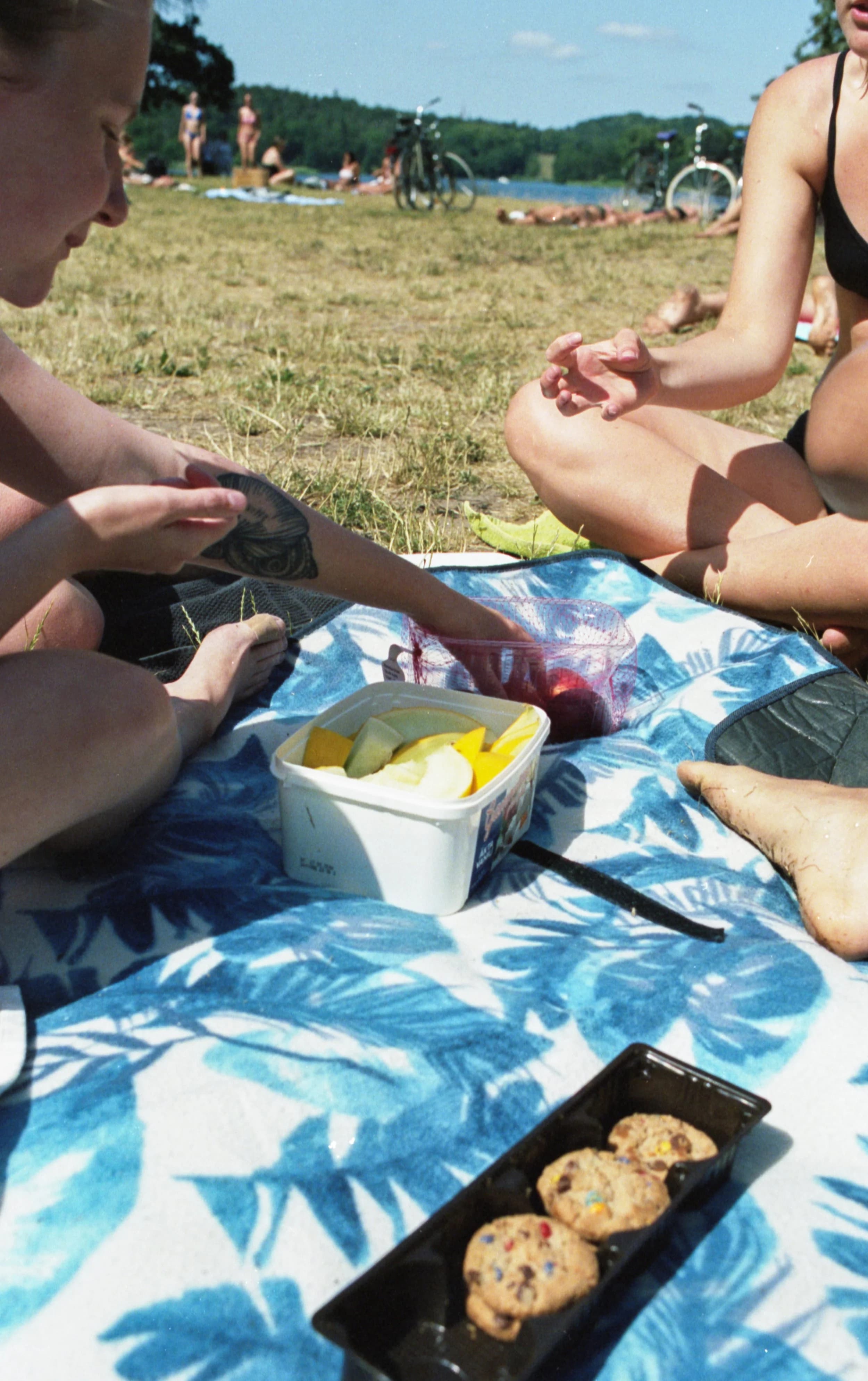 Sommar saga / summer story 011