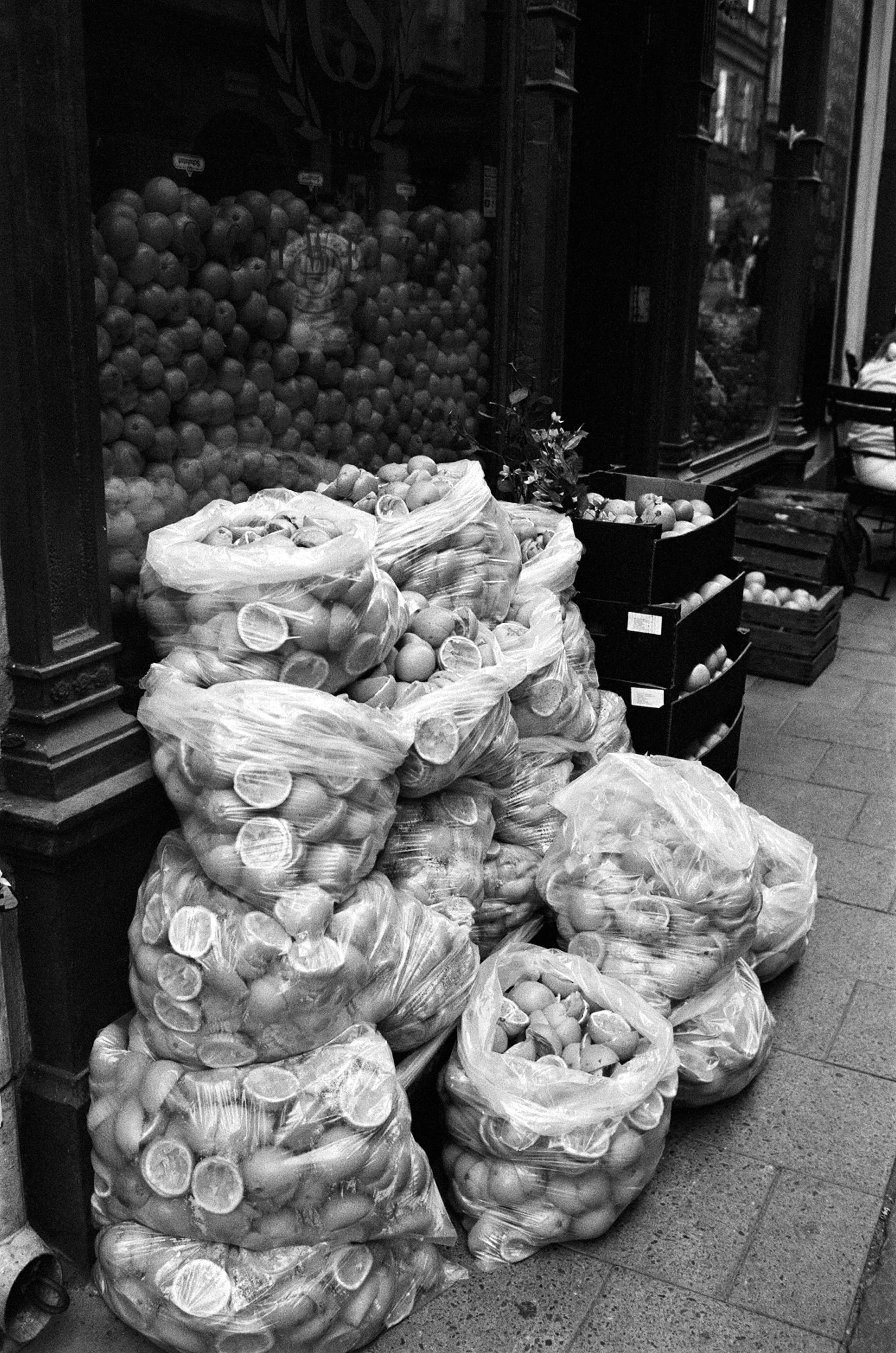 Sommar saga / summer story 019