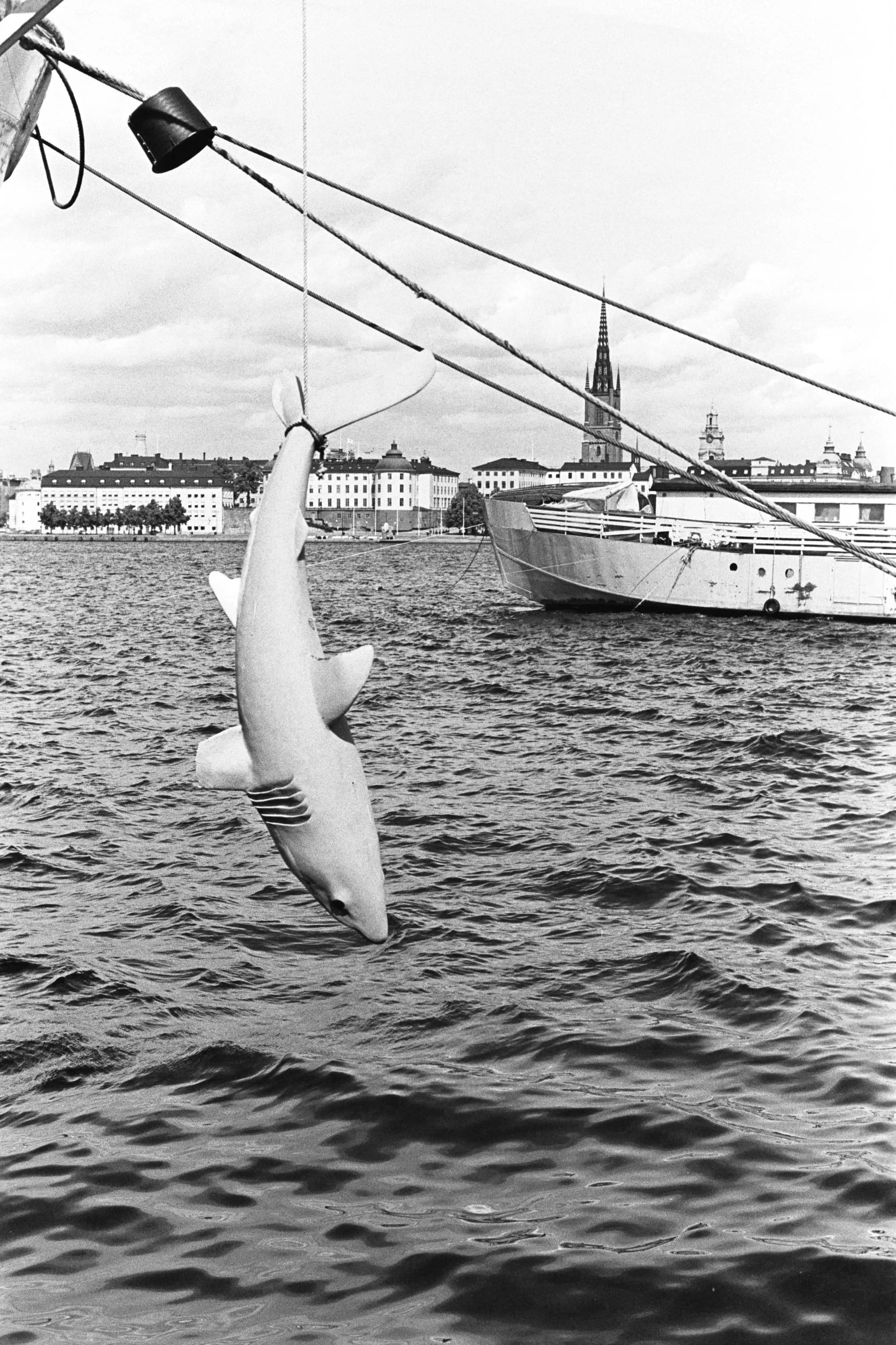 Sommar saga / summer story 042