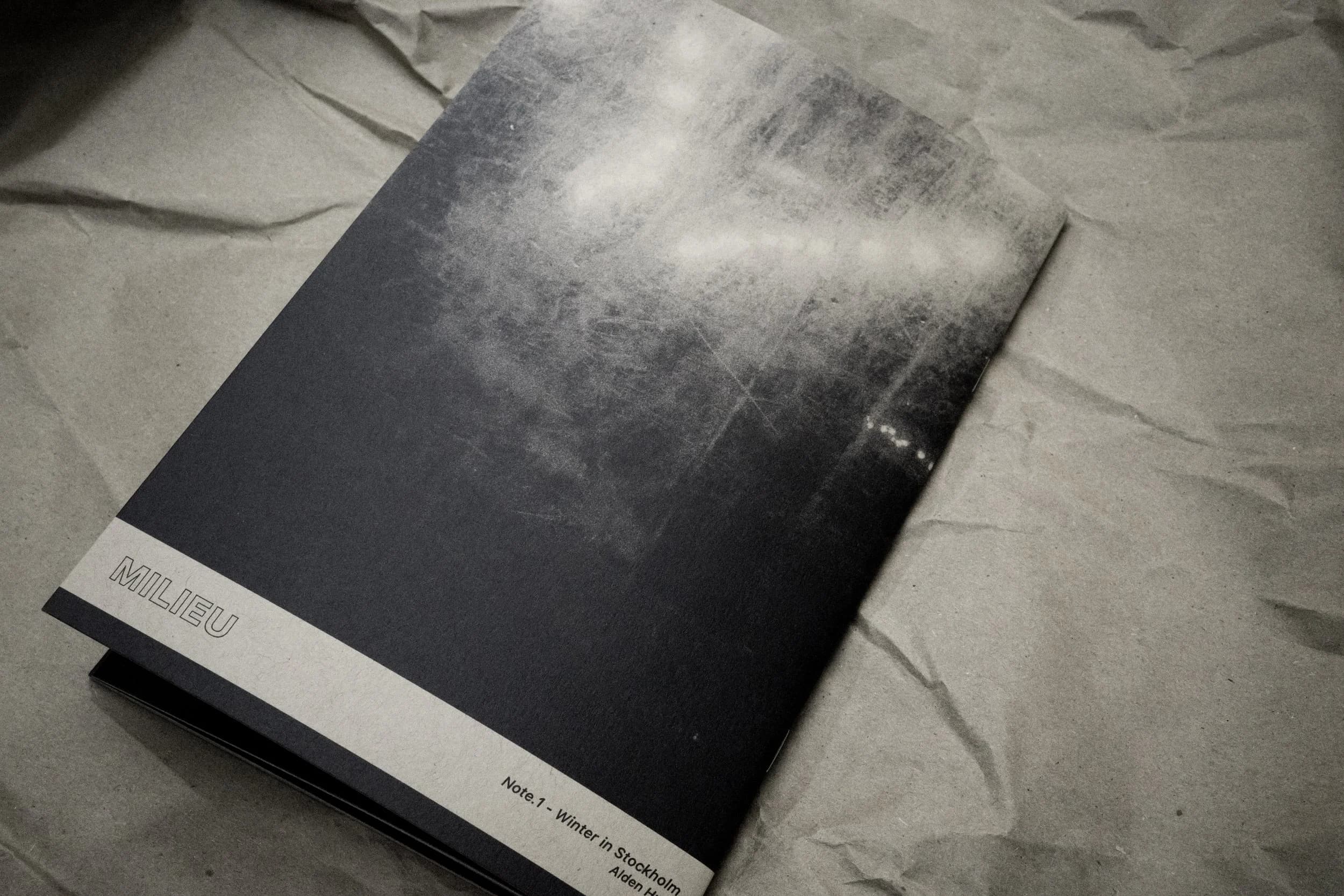 Winter in Stockholm 018