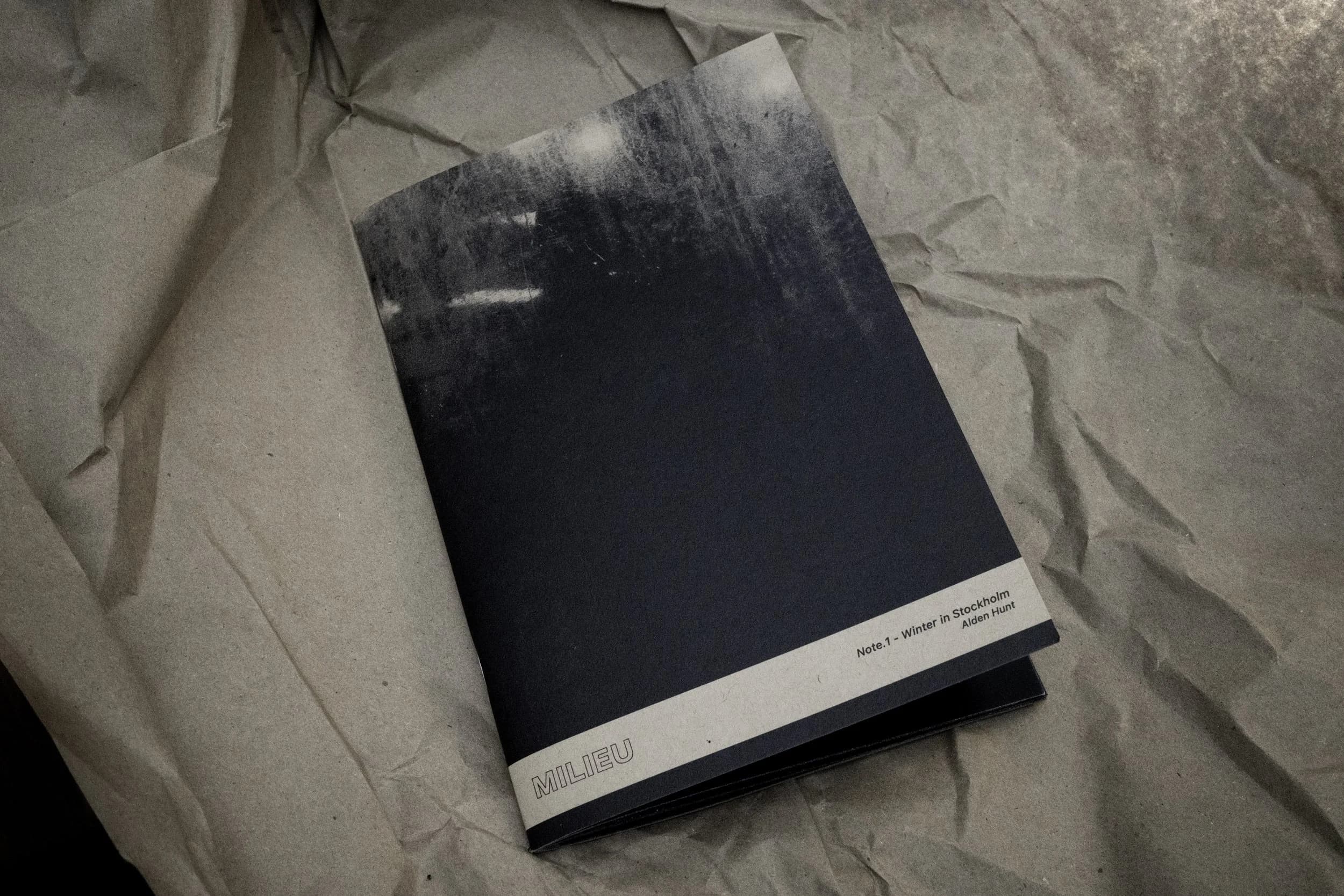 Winter in Stockholm 002