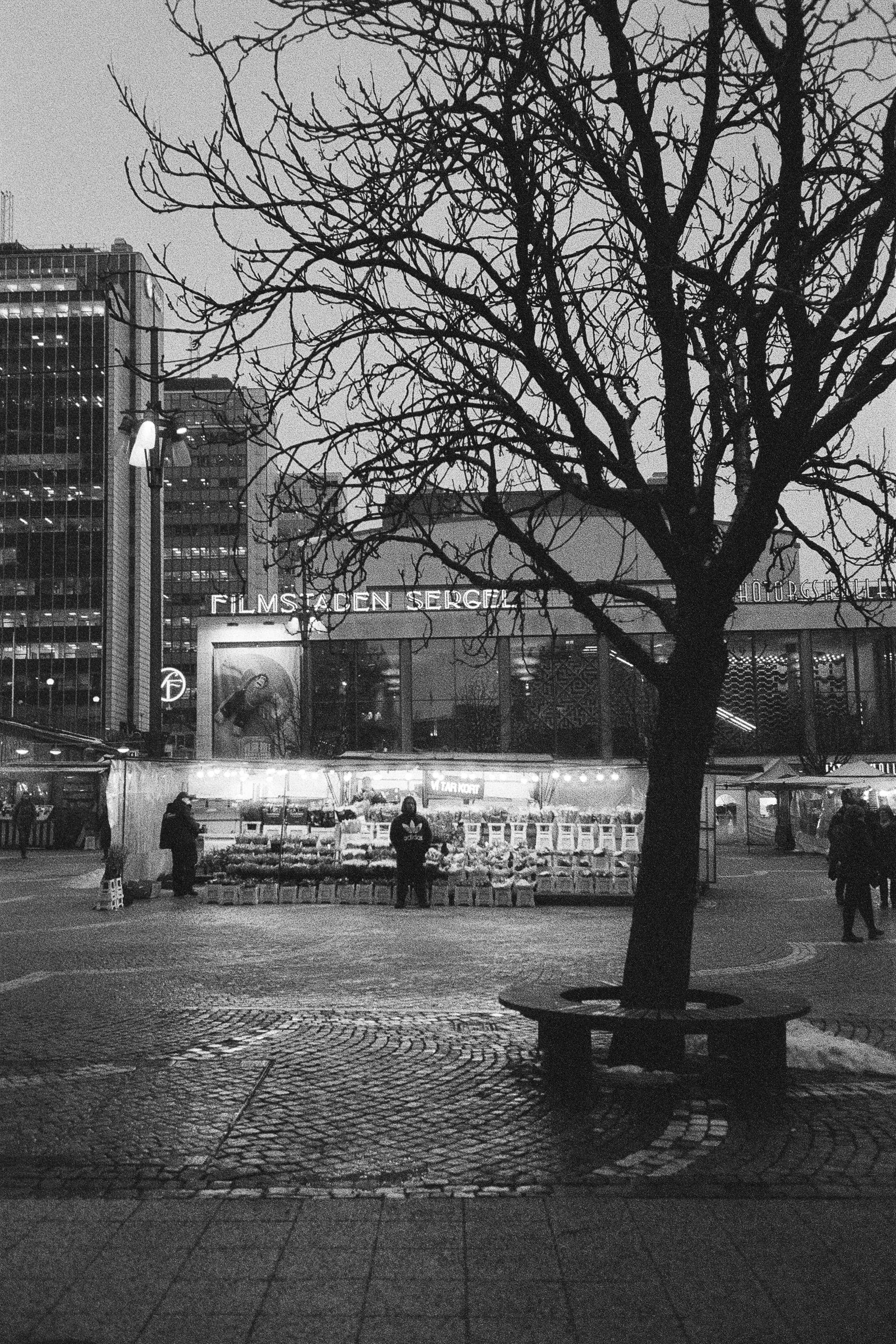 Winter in Stockholm 033