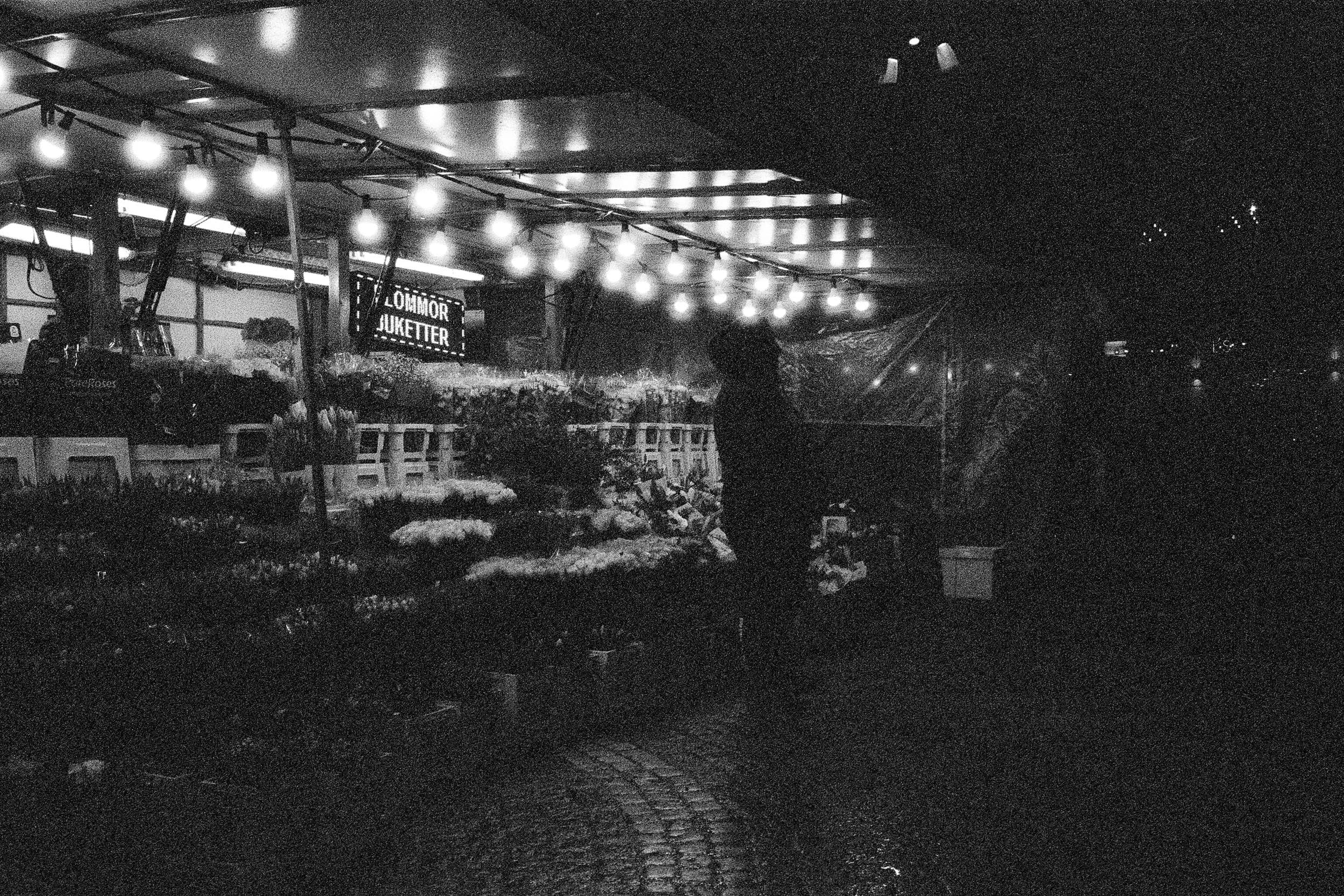 Winter in Stockholm 034